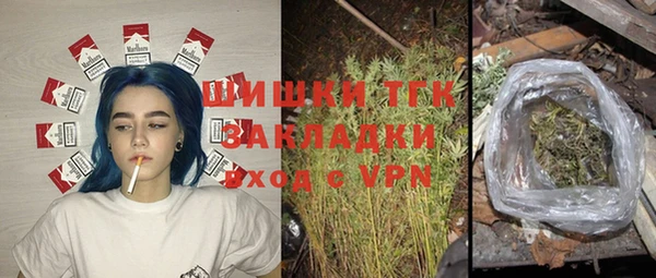 гидра Алексеевка