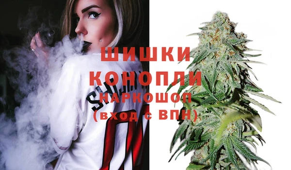 сатива Алексин