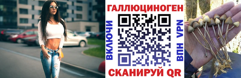 закладка  Безенчук  Галлюциногенные грибы ЛСД 